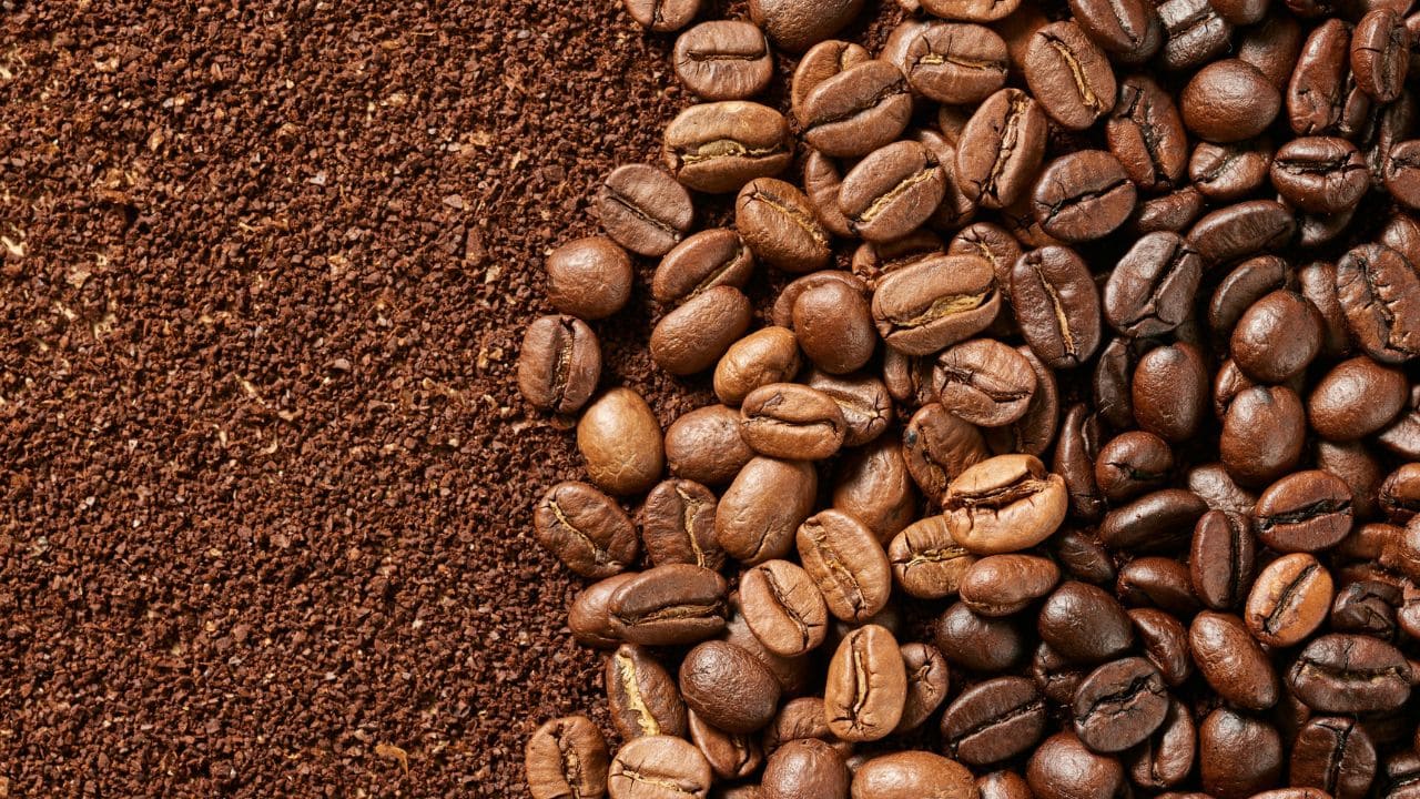 Cách Phân Biệt Hạt Cà Phê Arabica và Robusta Chuẩn Nhất