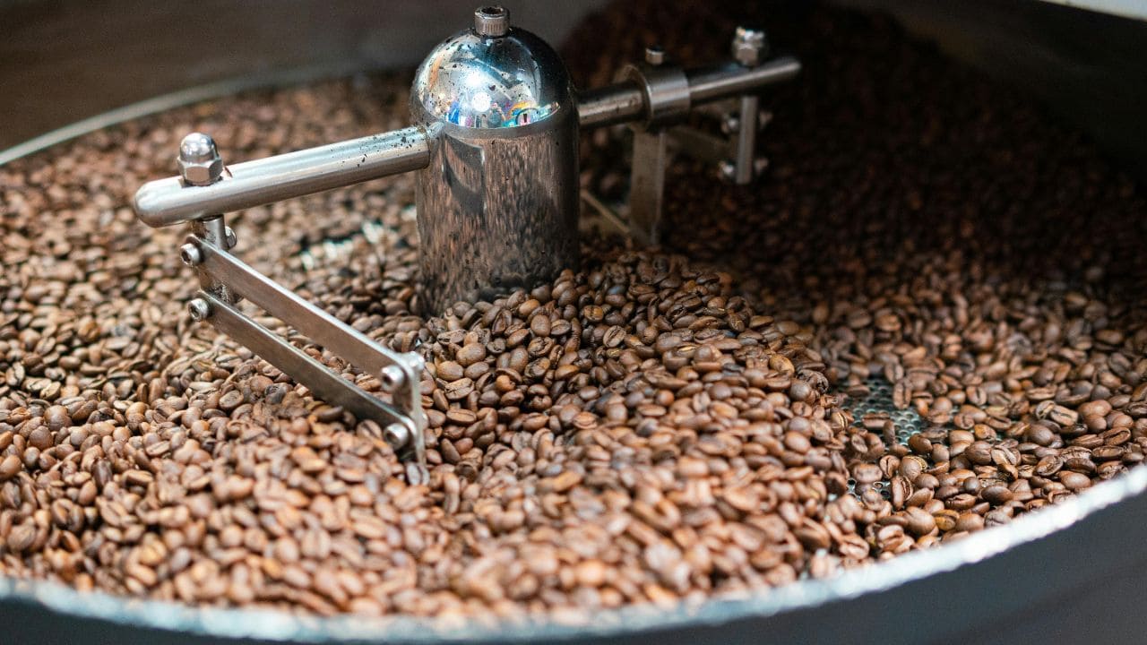 Cách Phân Biệt Hạt Cà Phê Arabica và Robusta Chuẩn Nhất