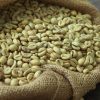 Cách Phân Biệt Hạt Cà Phê Arabica và Robusta Chuẩn Nhất