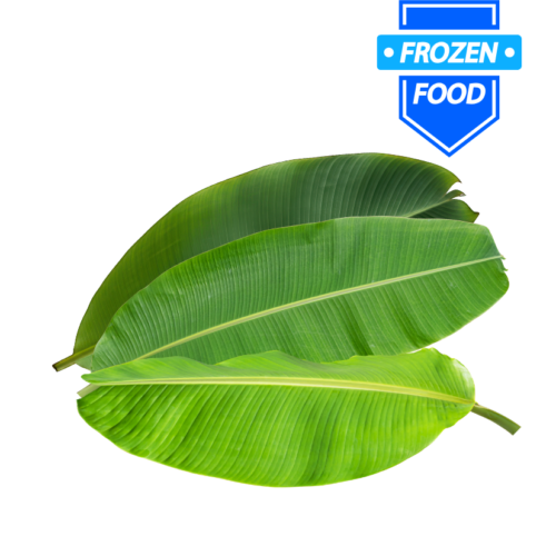 Frozen Banana Leaves