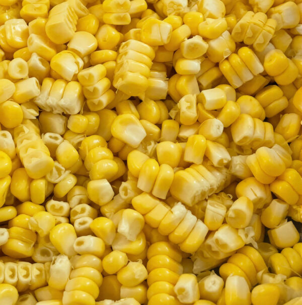 Bắp ngọt đông lạnh