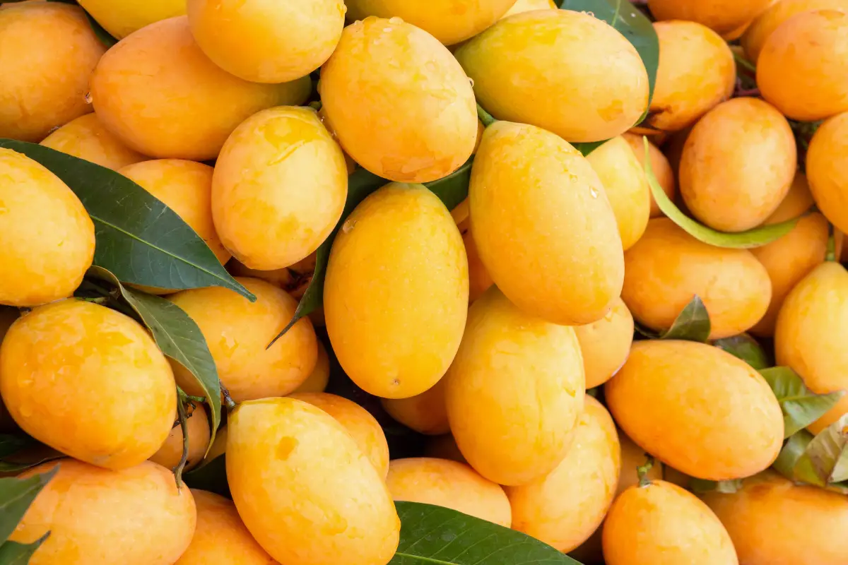 Xoài đông lạnh