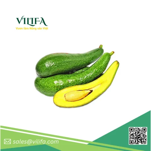Bơ 034 Đông Lạnh Bơ 034 Đông Lạnh