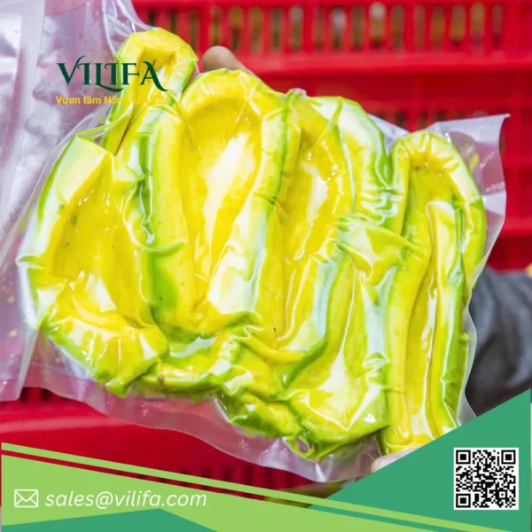 Bơ 034 Đông Lạnh Bơ 034 Đông Lạnh