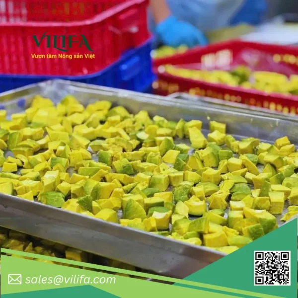 48 Bơ Booth Đông Lạnh