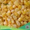 bắp ngọt đông lạnh