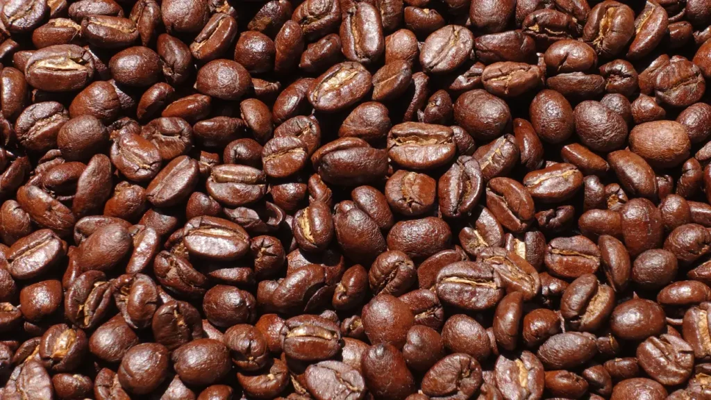 arabica robusta