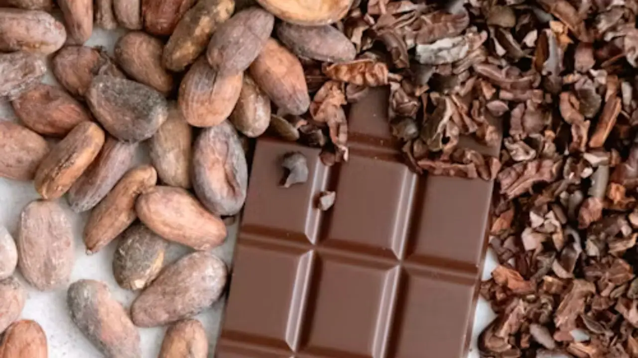 Cacao Contract Manufacturing