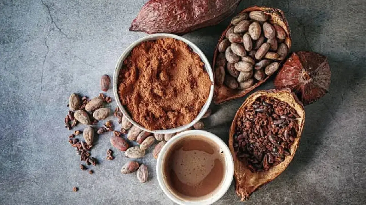 gia công cacao