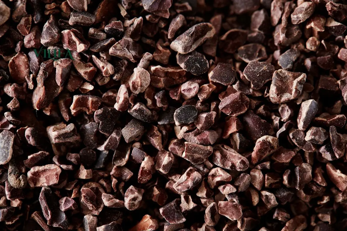Cacao Nibs Và Hạt Cacao Rang