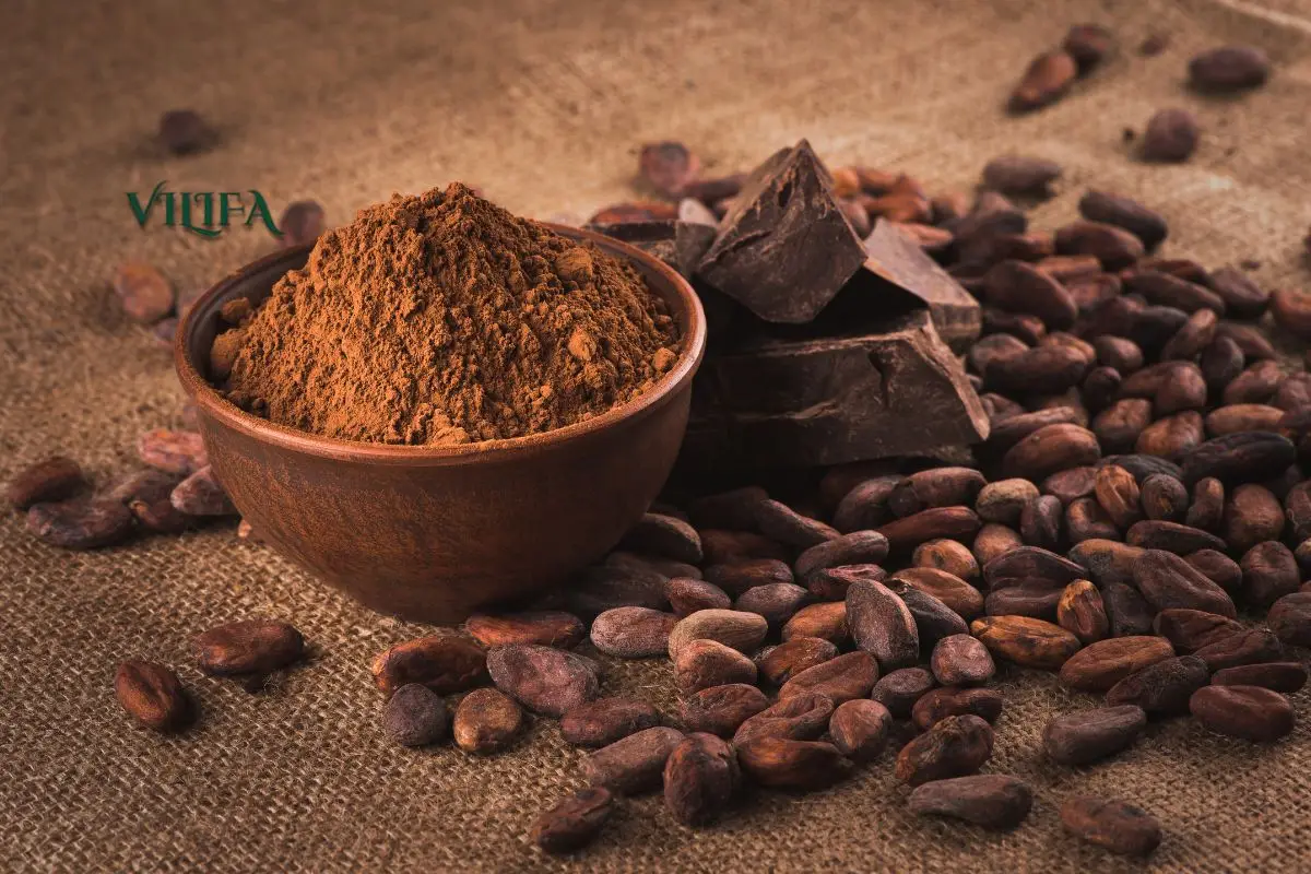 Cacao Nibs Và Hạt Cacao Rang