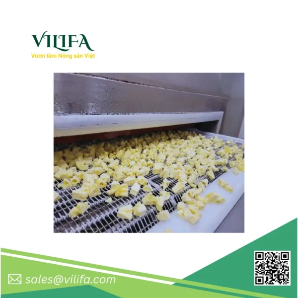 Khóm Queen Cấp Đông từ Việt Nam