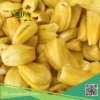 mit-la-bang-dong-lanh (2) mít lá bàng