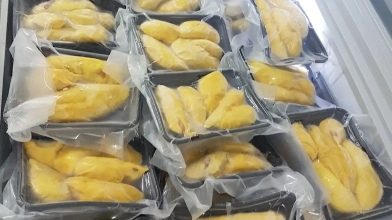 Frozen durian
