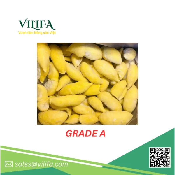 Sầu Riêng Thái / Monthong Đông Lạnh từ Việt Nam