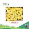 Sầu Riêng Thái / Monthong Đông Lạnh từ Việt Nam
