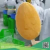 xoai-cat-chu-dong-lanh (2) xoài cát chu đông lạnh