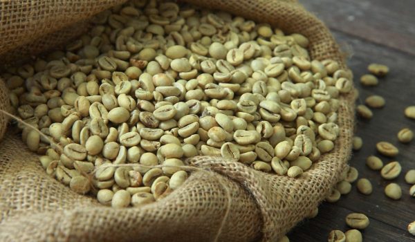 Cách Phân Biệt Hạt Cà Phê Arabica và Robusta Chuẩn Nhất
